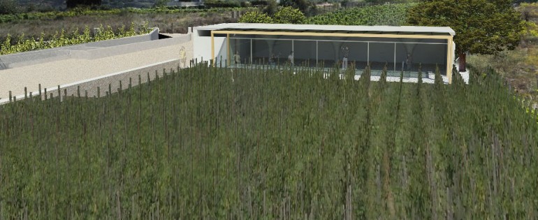 Progetto per la realizzazione di una cantina vinicola in localita’ Castellaro – Lipari